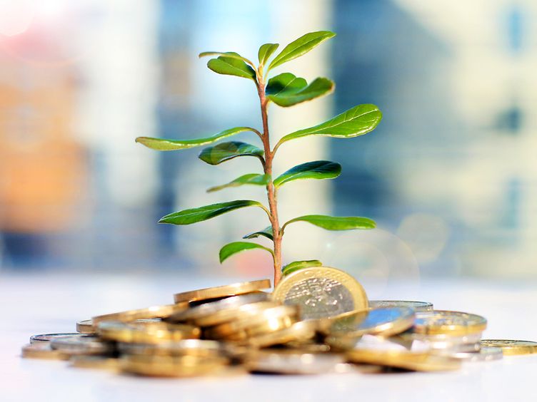 Kleine Pflanze wächst aus einem Münzhaufen raus